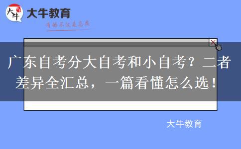 广东自考分大自考和小自考？二者差异全汇总，一篇看懂怎么选！