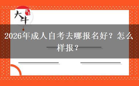 2026年成人自考去哪报名好？怎么样报？