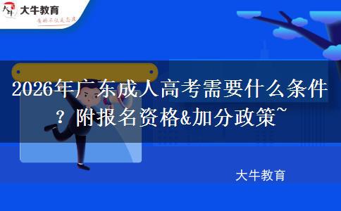 2026年广东成人高考需要什么条件？附报名资格&加分政策~