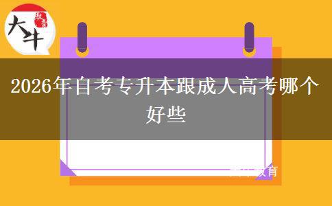 2026年自考专升本跟成人高考哪个好些 2026年自考专升本跟成人高考哪个好些